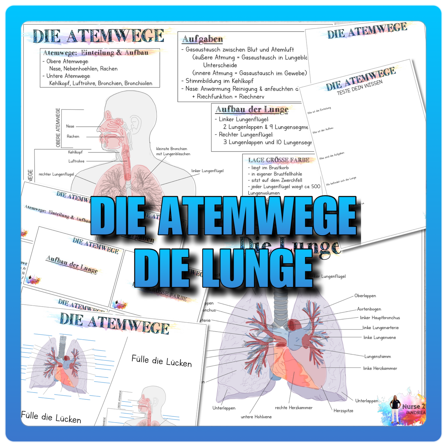 001/002 Die Atemwege Die Lunge