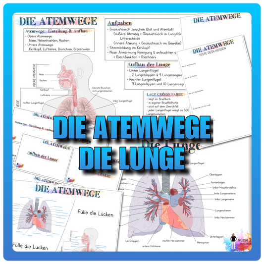 001/002 Die Atemwege Die Lunge